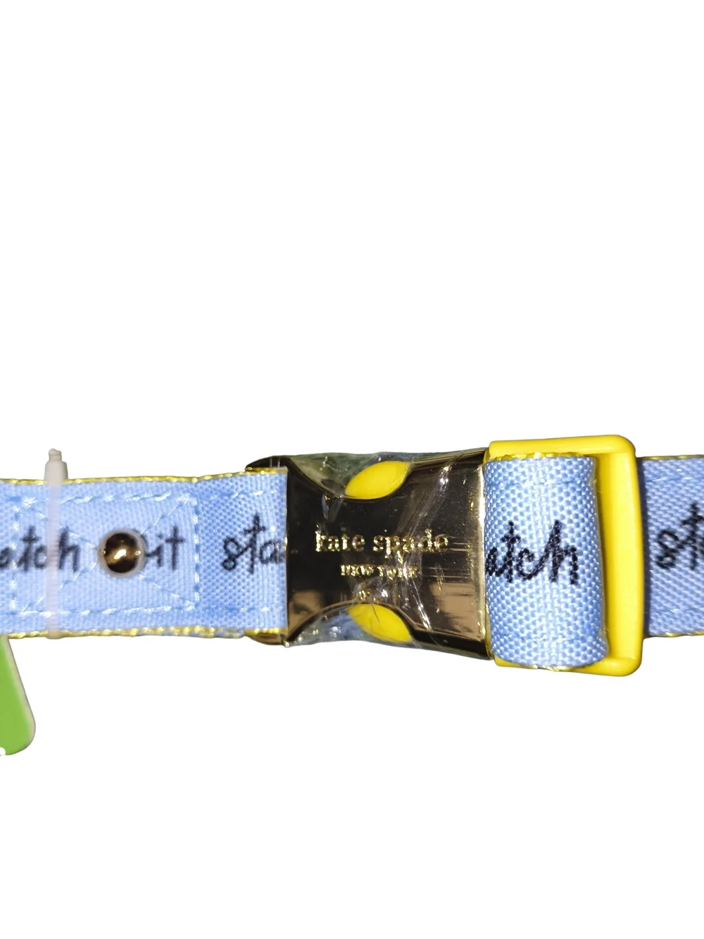 Kate Spade New York Polyester Raining Cats & Dogs Collar,Large: 15 to 24-in neck